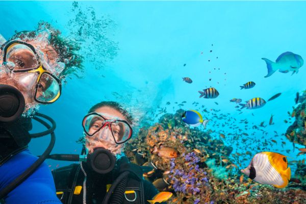 What are the best places for an under the sea themed wedding? - Weddo Agency