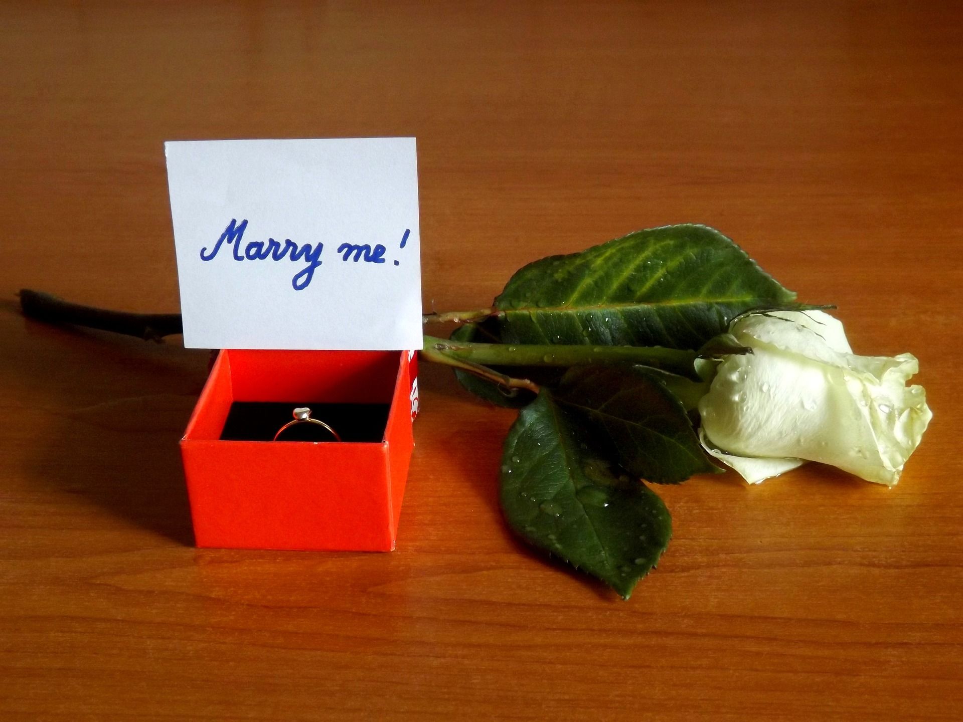 Proposing-on-Christmas-day