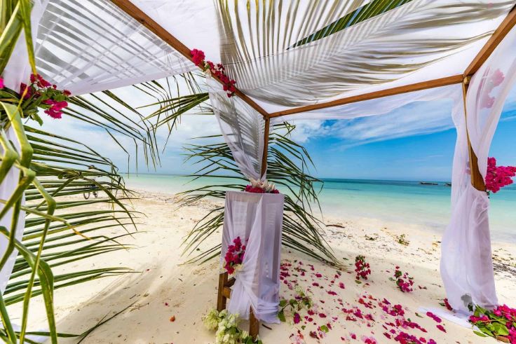 -Wedding-picnic-How-to-organize-a-wonderful-party-palm-leaves-purple-flowers-sea